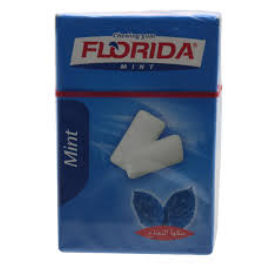 FLORIDA MINT CHEWING GUM 16G